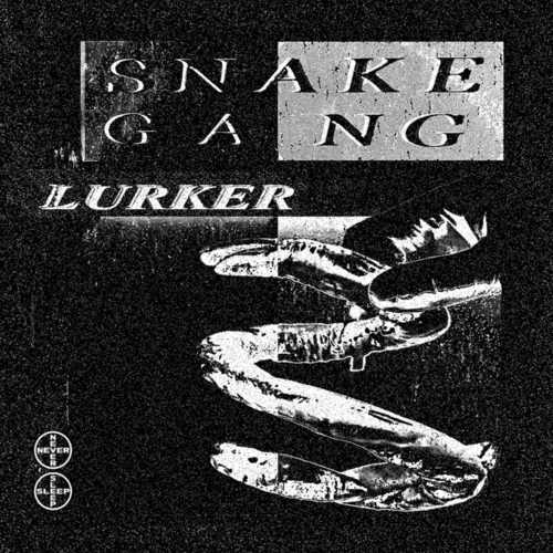 Snake Gang - Lurker [NSR009]